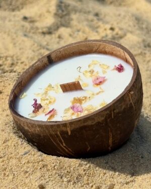 Candela Che Diventa Pianta Fiore Di Ciliegio In Cocco