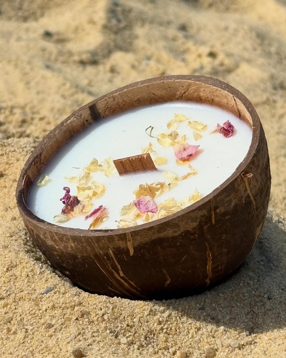 Candela Che Diventa Pianta Fiore Di Ciliegio In Cocco