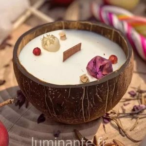 La Candela Che Diventa Pianta Love Apple In Cocco